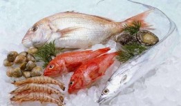 冷冻海鲜视频爆料大全,视频爆料大全深度解析